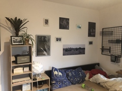 Forex platten kaufen hamburg